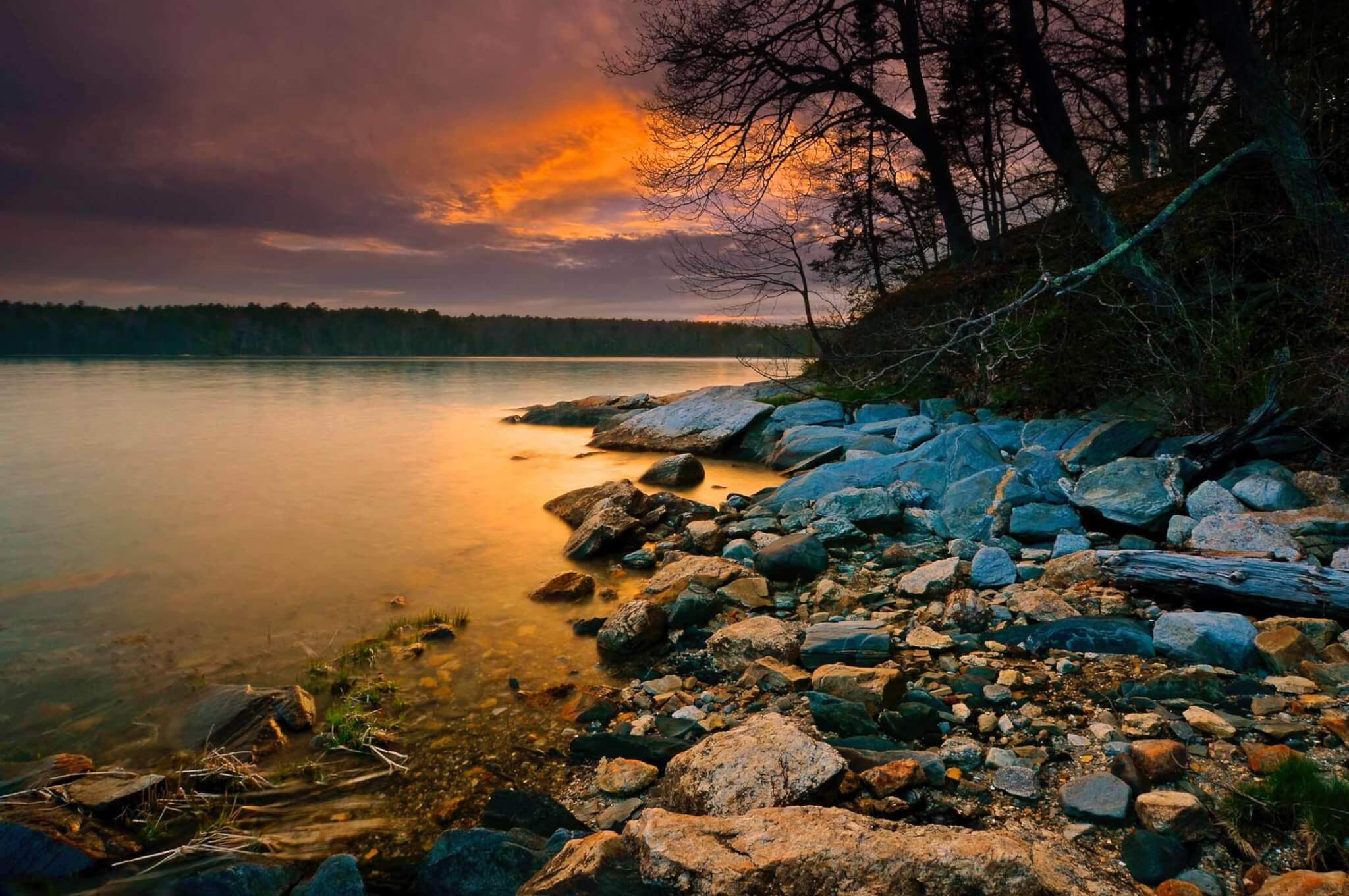 Top Five Ocean Adventures in Freeport!