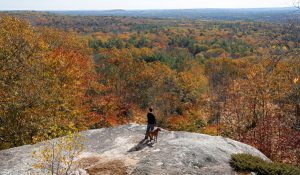 dog and owner looking out from bradbury mountain