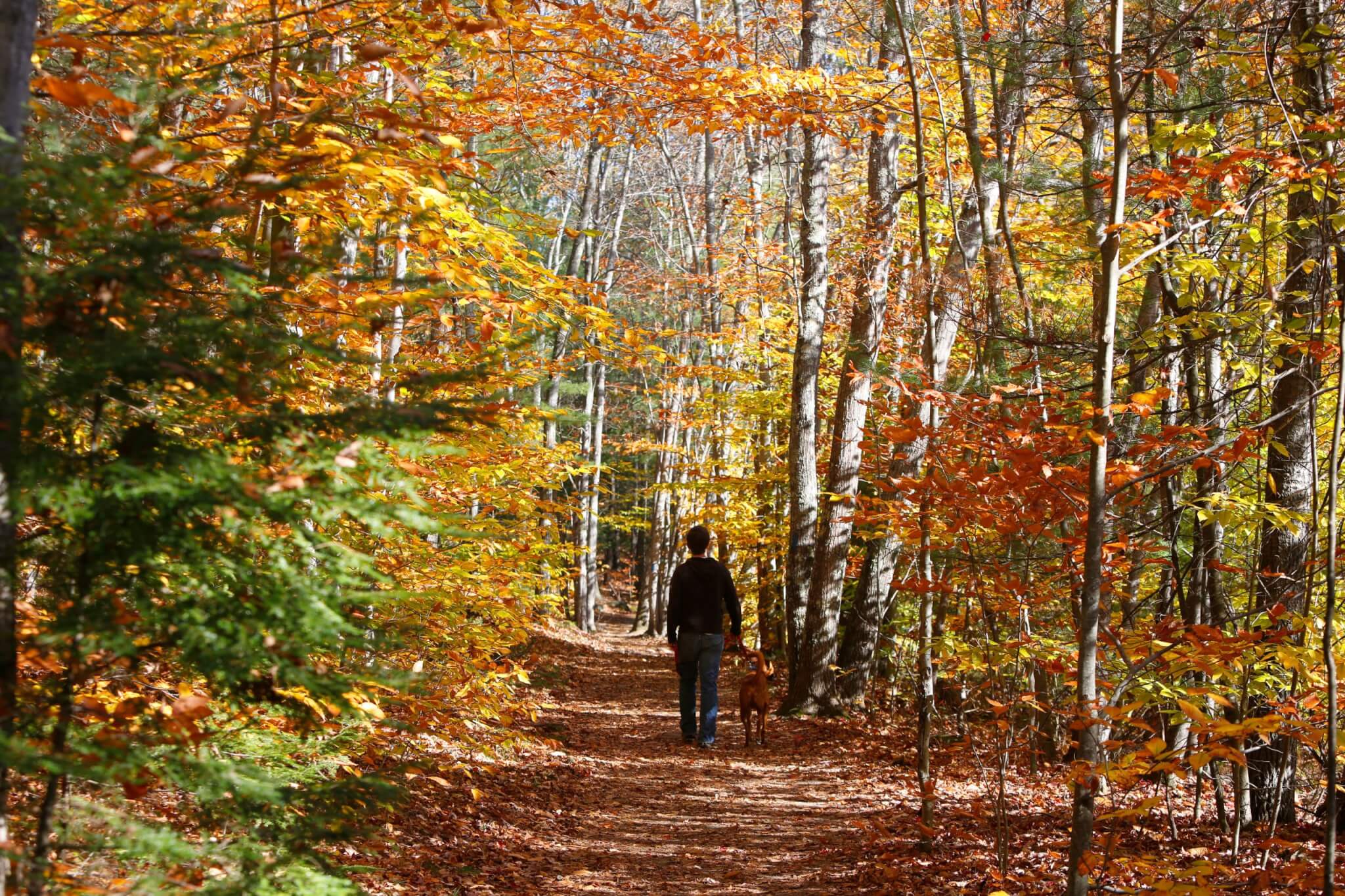 A Fall Day in Freeport