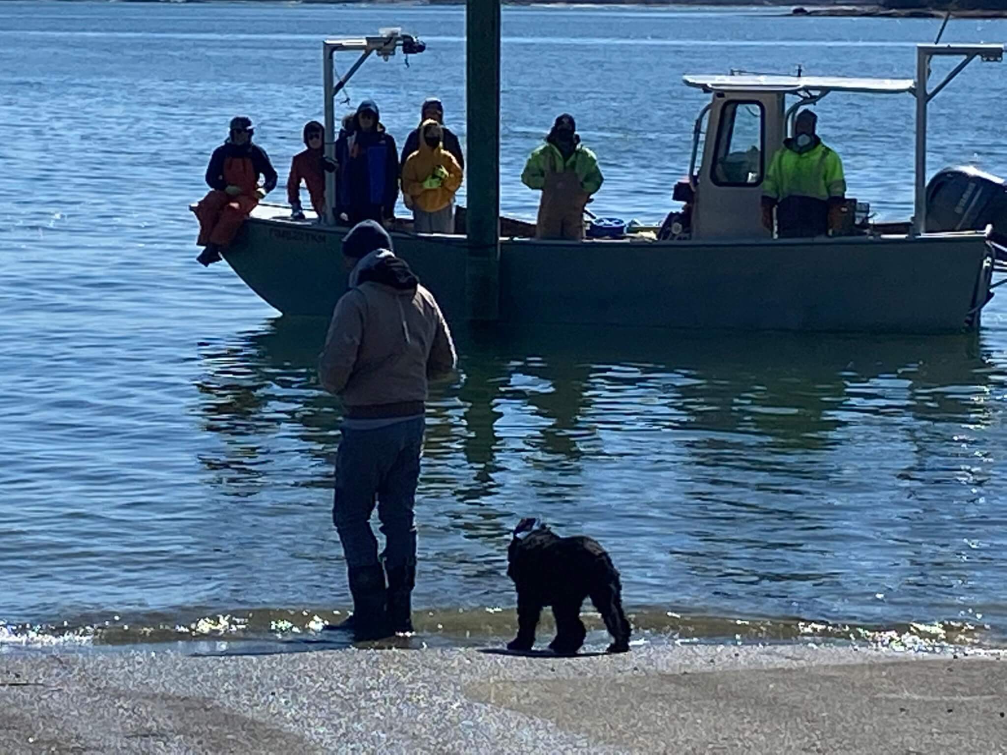 Butterfield Shellfish