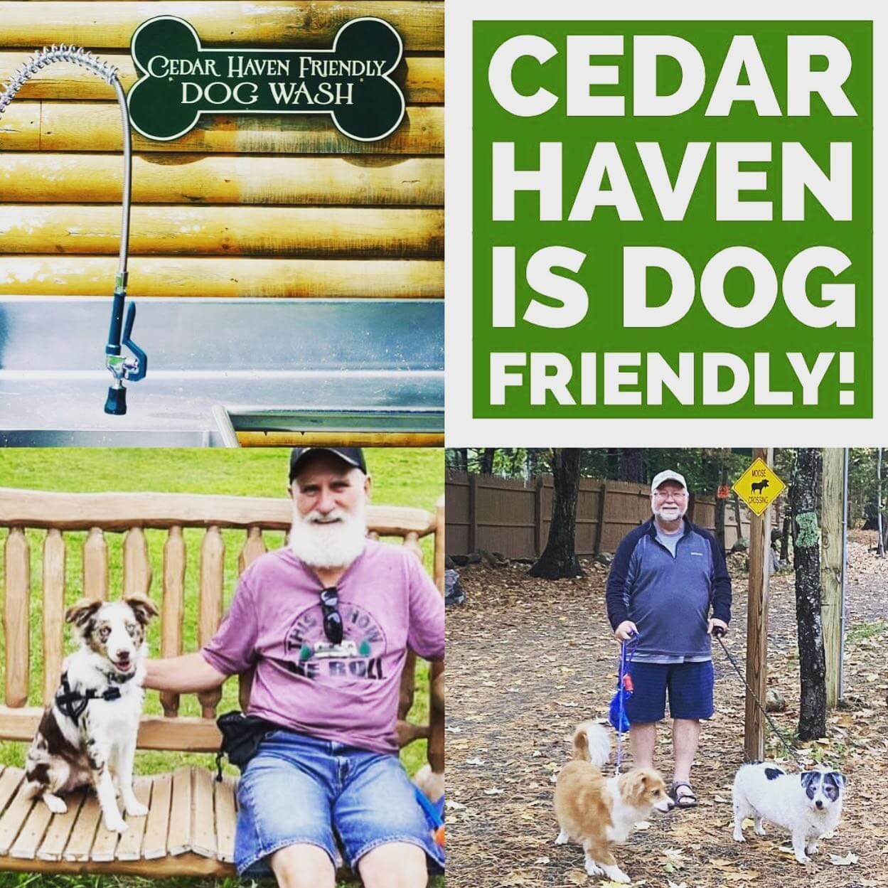 Cedar Haven Family Campground Dog Friendly Visit Freeport