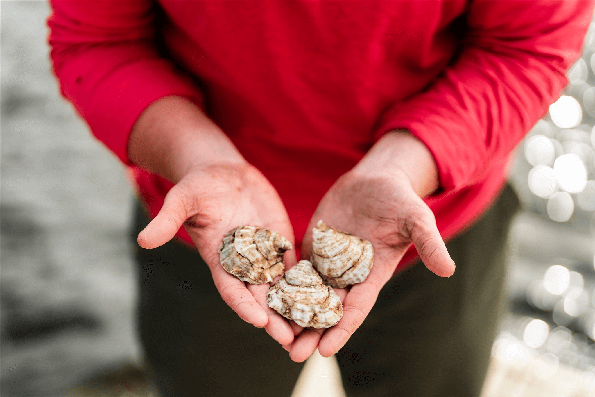 OystHERS Sea Farm and OystHERS Raw Bar & Bubbly