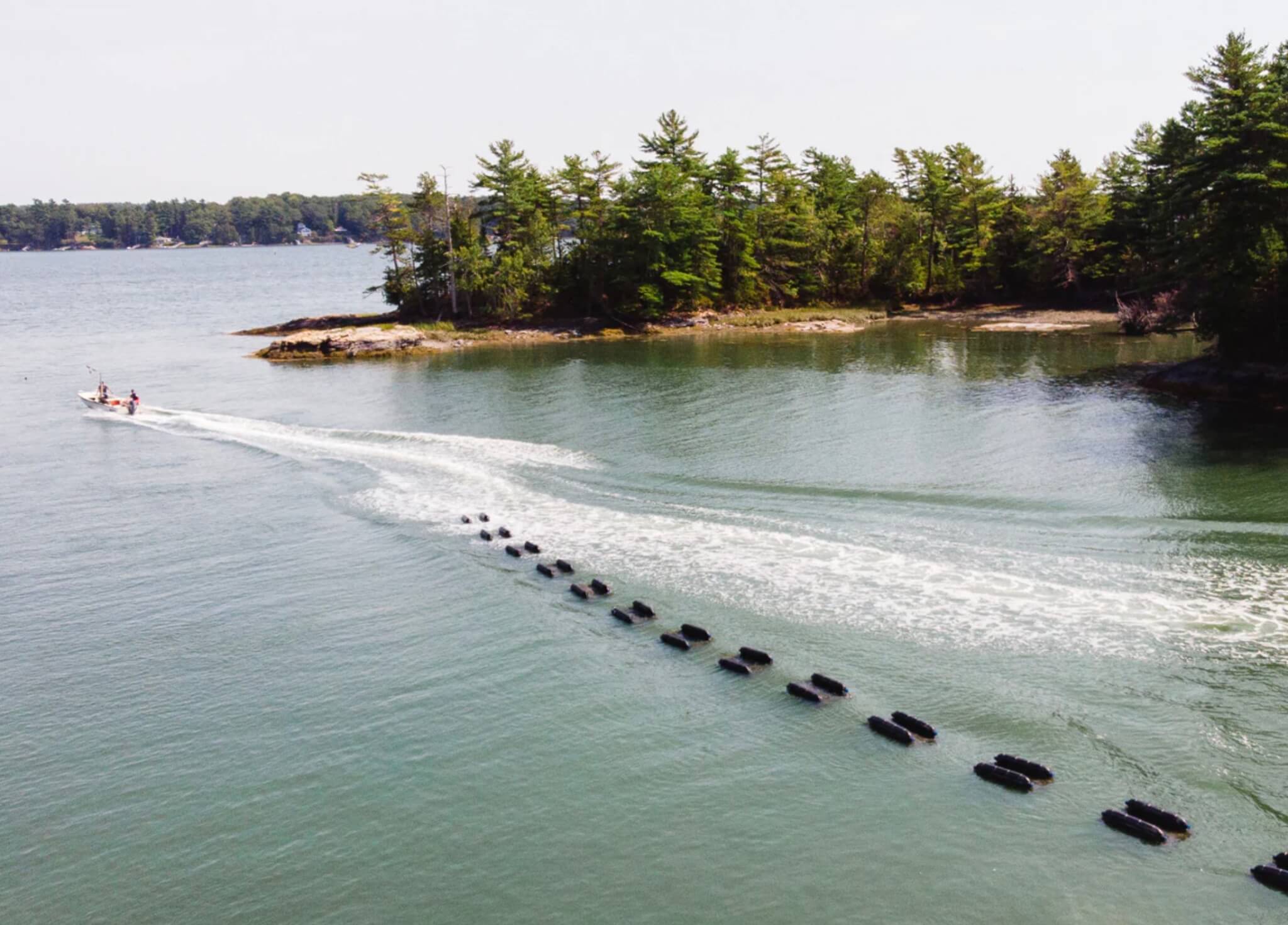 Bombazine Oyster Company