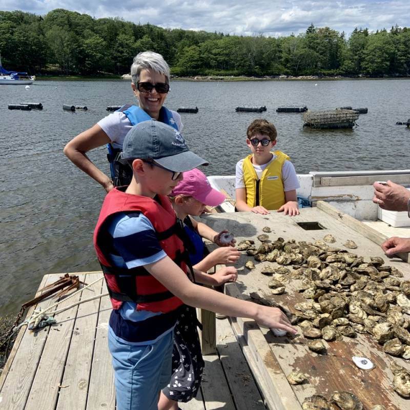 Maine Oyster Company