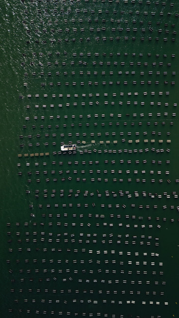 Mere Point Oyster Company