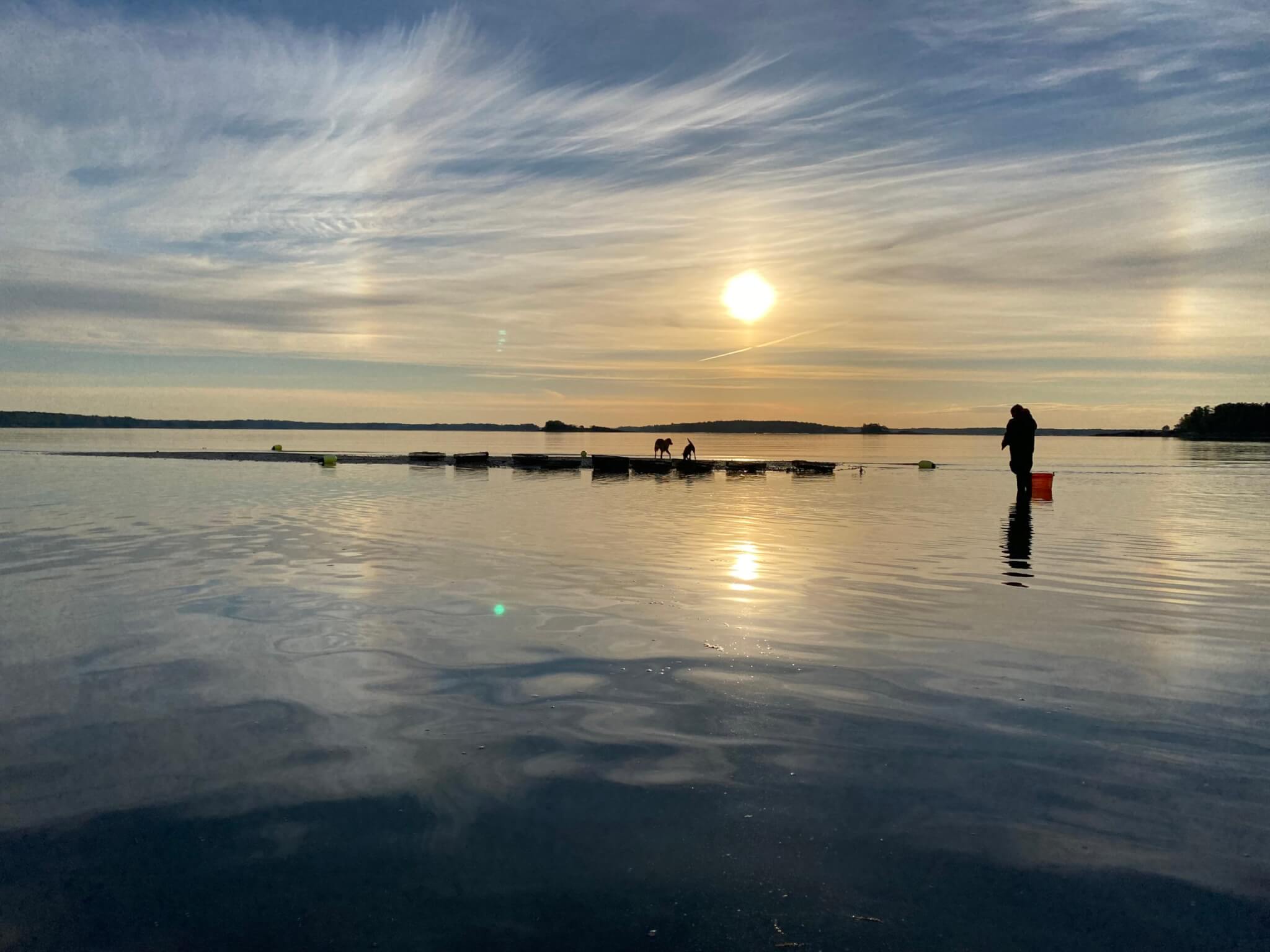 TMOF Sea Farms & Mobile Shuckers Visit Freeport