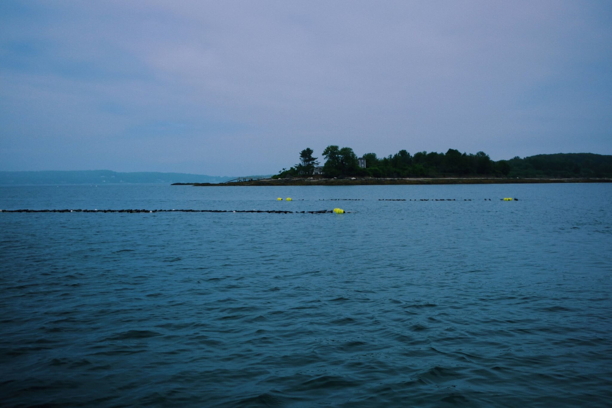 Sturdivant Island Oyster Company