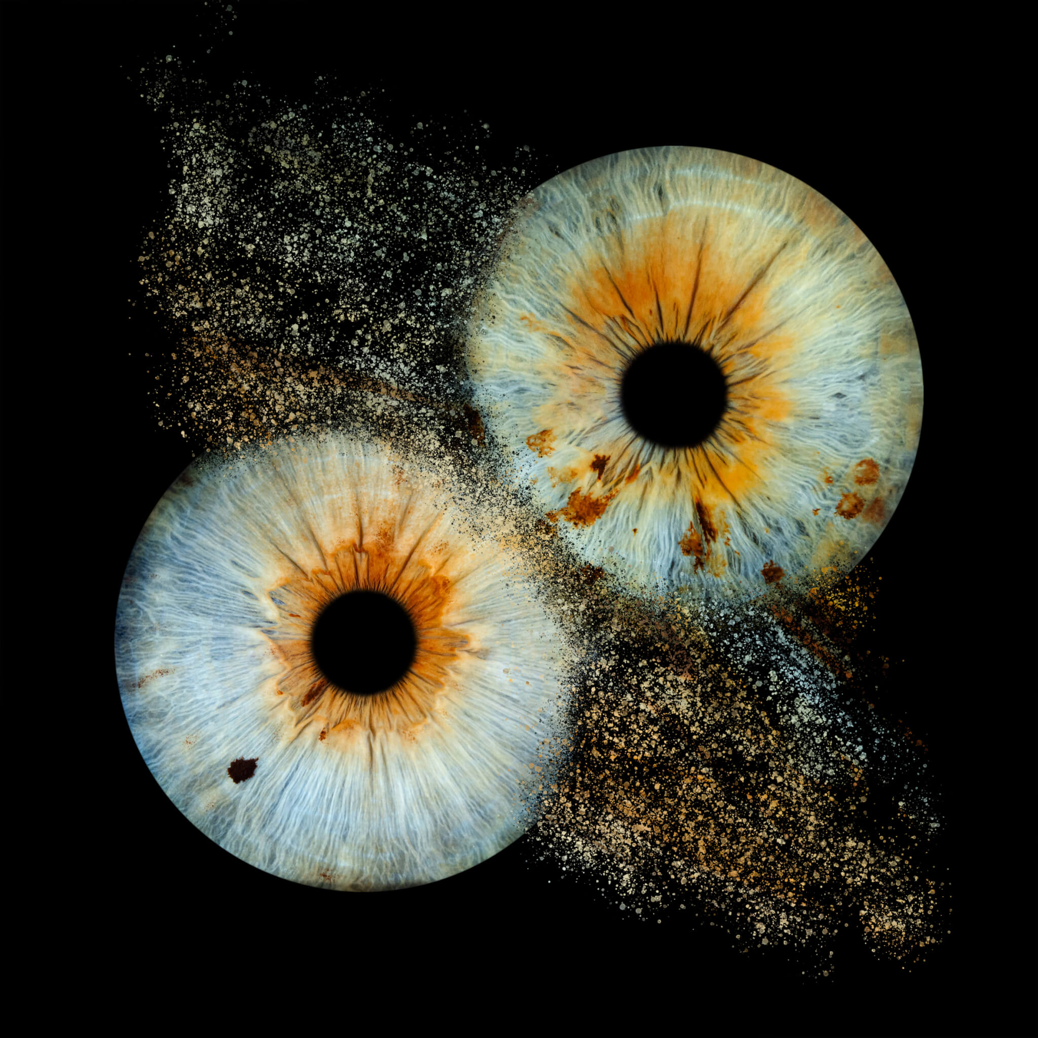 Iris Galerie